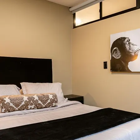 Tranvia 40 Apartment Medellin Exterior photo